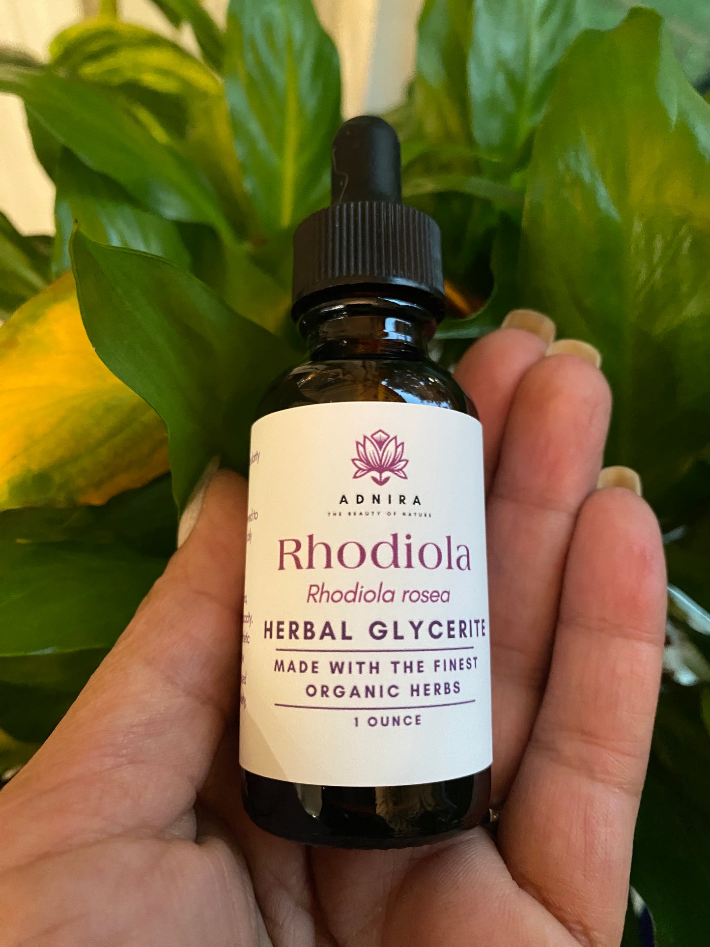 Organic Rhodiola Glycerite