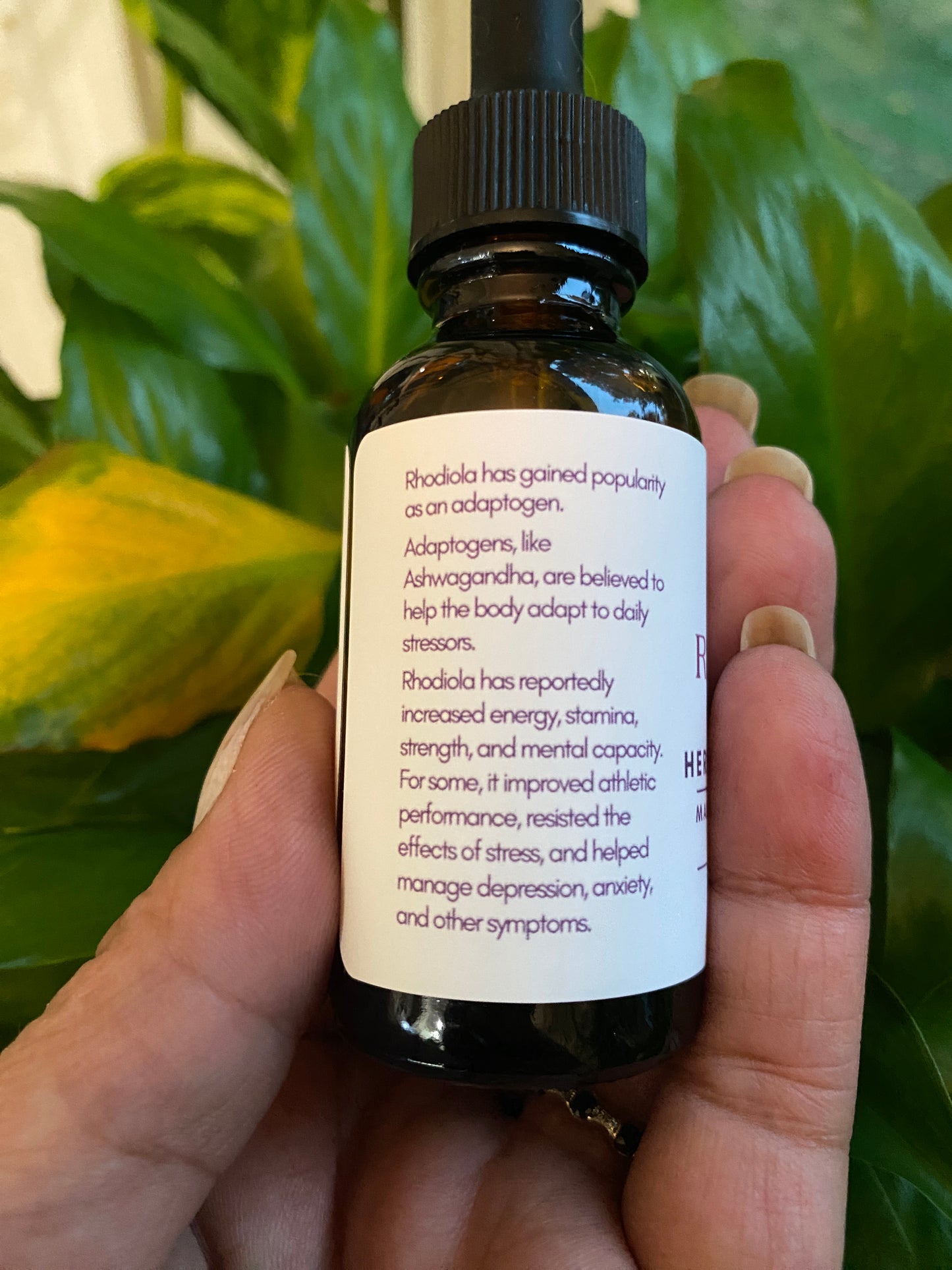 Organic Rhodiola Glycerite