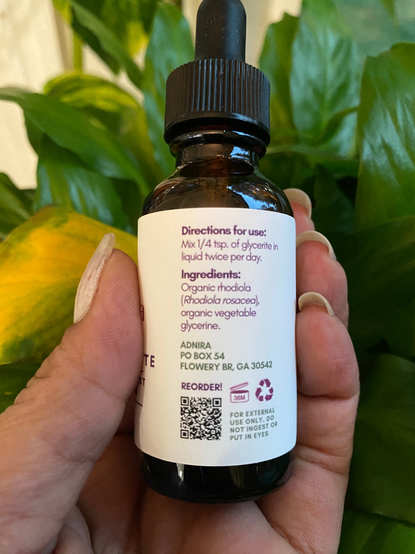 Organic Rhodiola Glycerite