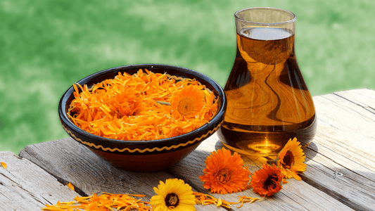 Why do I drink herbal teas? Here are my five favorites!