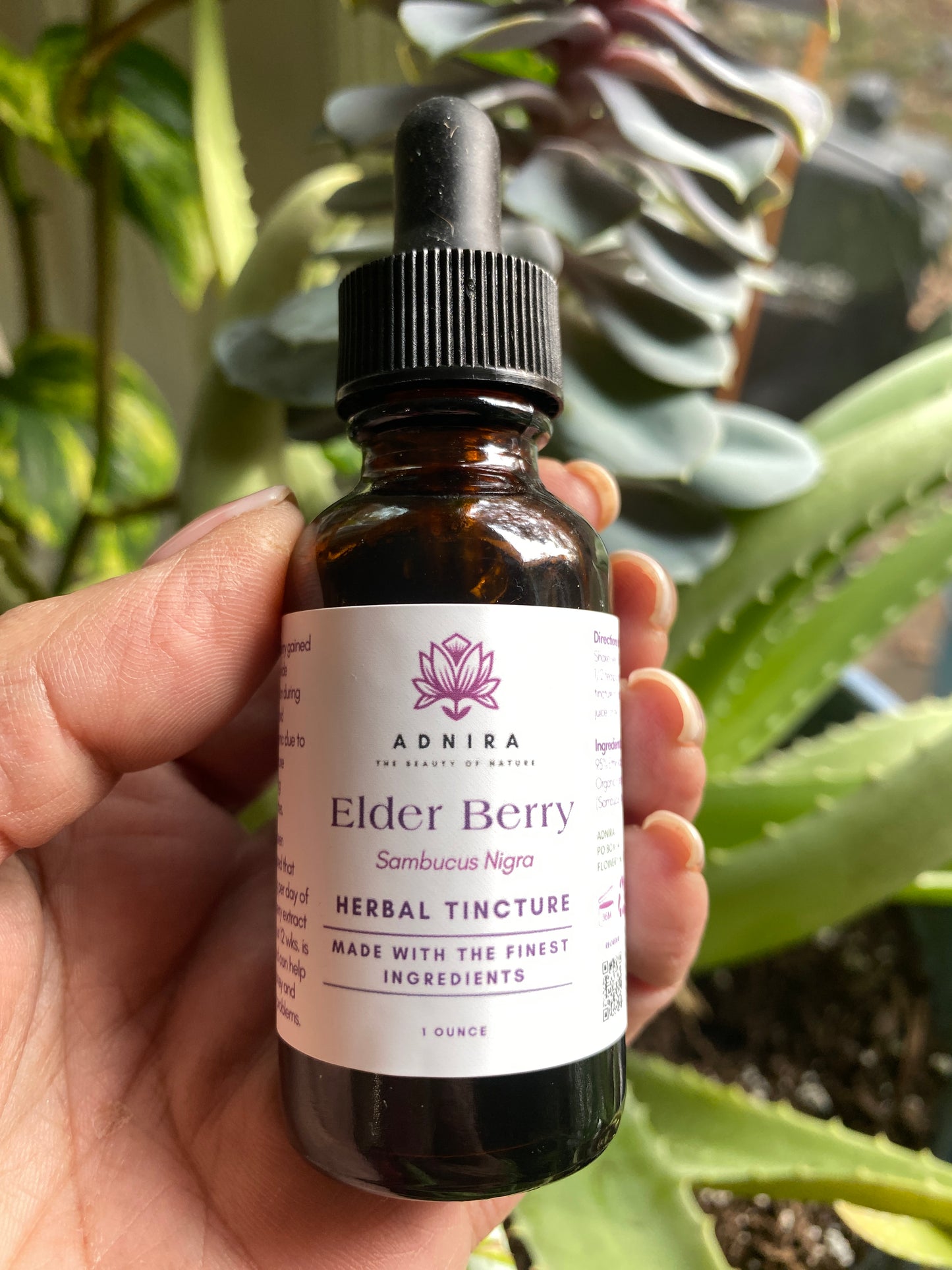 Elder Berry Alcohol Tincture