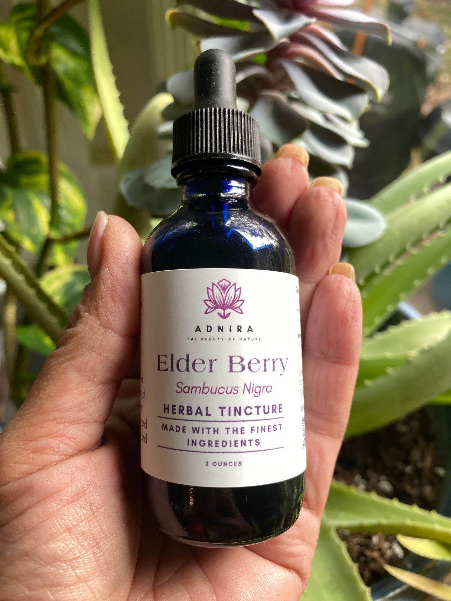 Elder Berry Alcohol Tincture